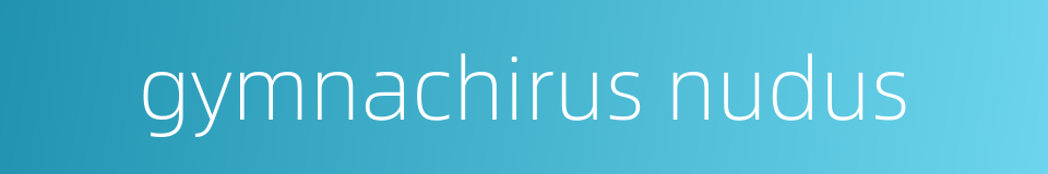 gymnachirus nudus的同义词