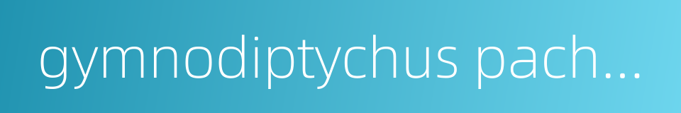 gymnodiptychus pachycheilus的同义词