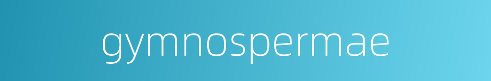 gymnospermae的同义词