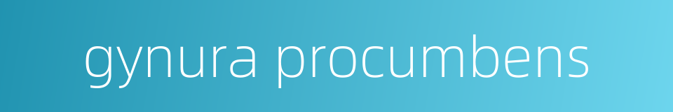 gynura procumbens的同义词