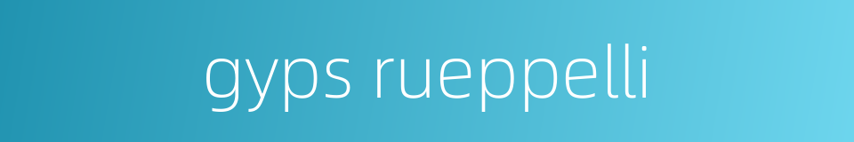 gyps rueppelli的同义词