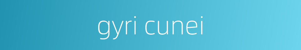 gyri cunei的同义词