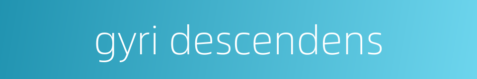 gyri descendens的同义词