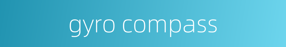 gyro compass的同义词