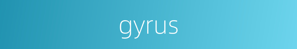 gyrus的同义词