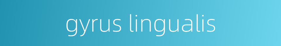gyrus lingualis的同义词