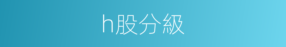 h股分級的同義詞