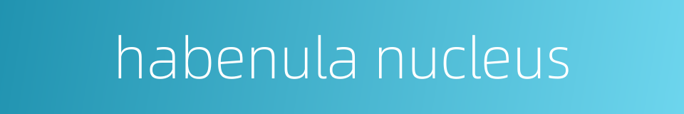 habenula nucleus的同义词