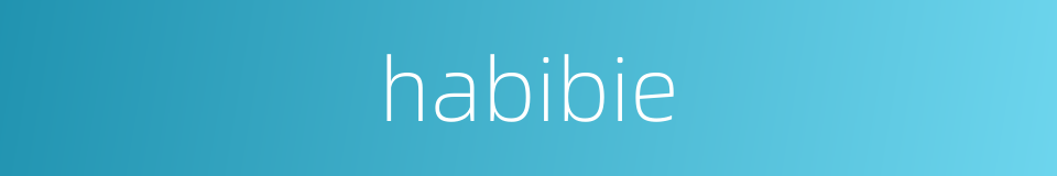 habibie的同义词