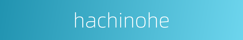 hachinohe的同义词