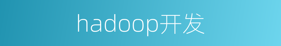 hadoop开发的同义词