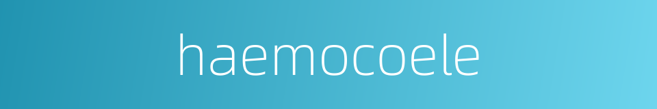 haemocoele的同义词