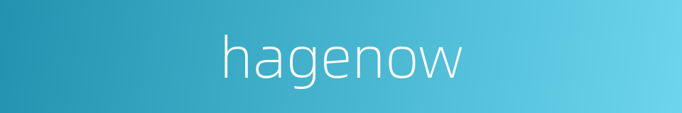 hagenow的同义词