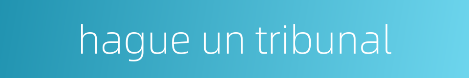 hague un tribunal的同义词