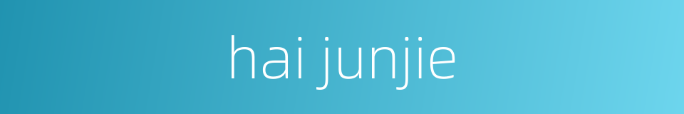 hai junjie的同义词