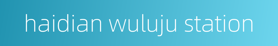 haidian wuluju station的同义词