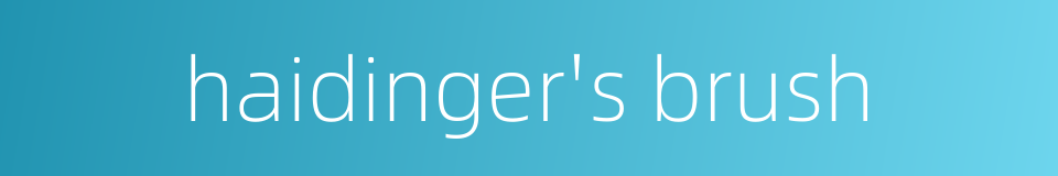 haidinger's brush的同义词