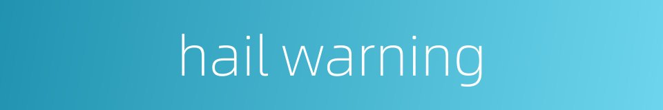 hail warning的同义词