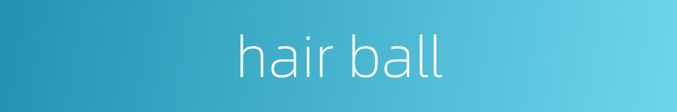 hair ball的同义词