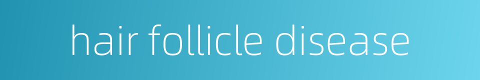 hair follicle disease的同义词