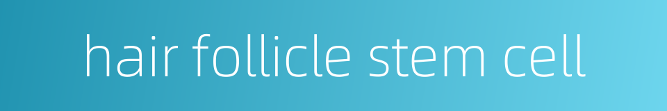 hair follicle stem cell的同义词