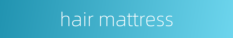 hair mattress的同义词