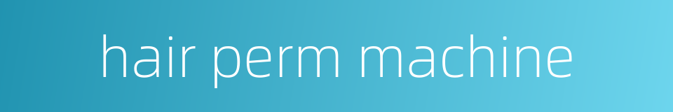 hair perm machine的同义词