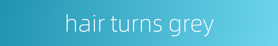 hair turns grey的同义词