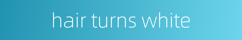 hair turns white的同义词