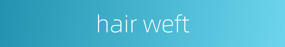 hair weft的同义词