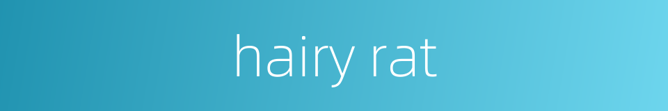 hairy rat的同义词