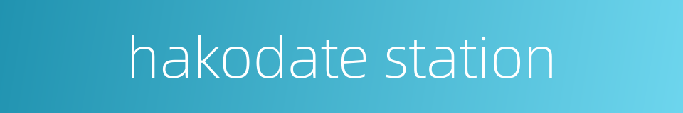 hakodate station的同义词