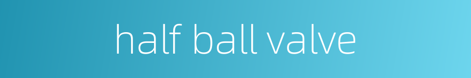 half ball valve的同义词