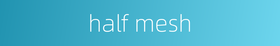 half mesh的同义词