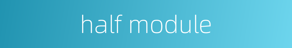 half module的同义词