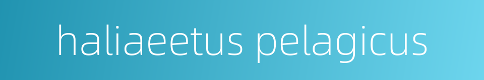 haliaeetus pelagicus的同义词