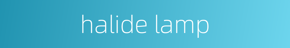 halide lamp的同义词