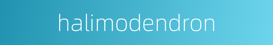 halimodendron的同义词