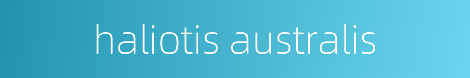 haliotis australis的同义词