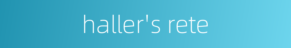 haller's rete的同义词