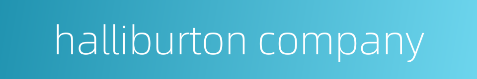halliburton company的同义词