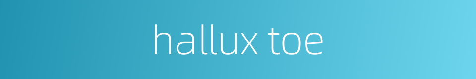 hallux toe的同义词
