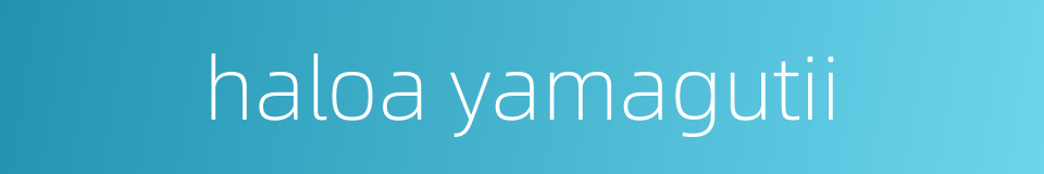 haloa yamagutii的同义词