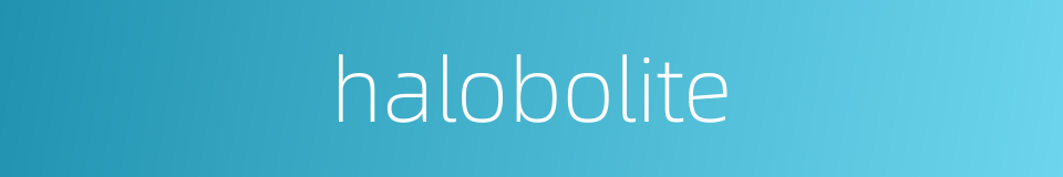 halobolite的同义词
