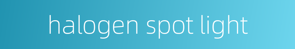 halogen spot light的同义词