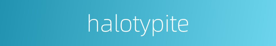 halotypite的同义词