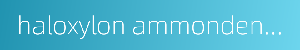 haloxylon ammondendron的同义词