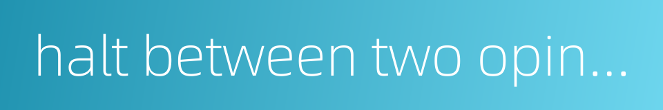 halt between two opinions的同义词