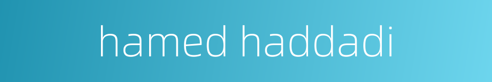hamed haddadi的同义词