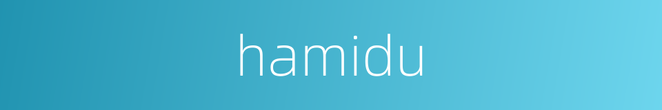 hamidu的同义词